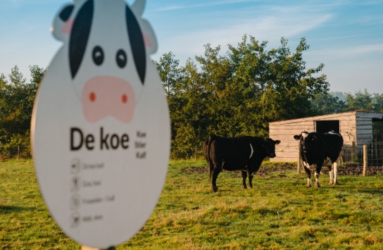  (vergroot foto)
