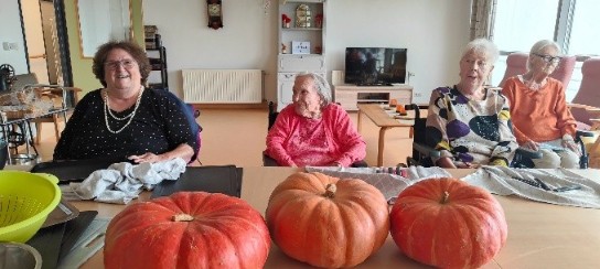 (vergroot foto)